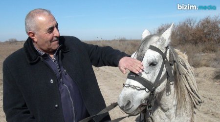 Qarabağ atlarını 30 ildir qoruyan Ağdam sakini: “Qayıdacağımıza əmin idik” – FOTO 