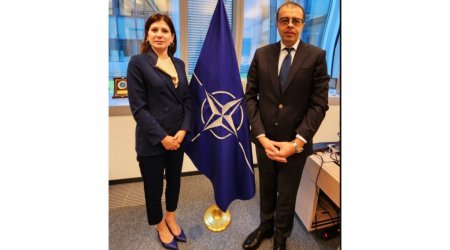 Azərbaycan-NATO tərəfdaşlığı müzakirə edilib