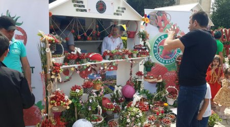 Cəlilabadda çiyələk festivalı keçirilir – FOTO  