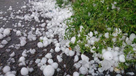 HAVA PROQNOZU: Şimal və qərb rayonlarına dolu düşəcək