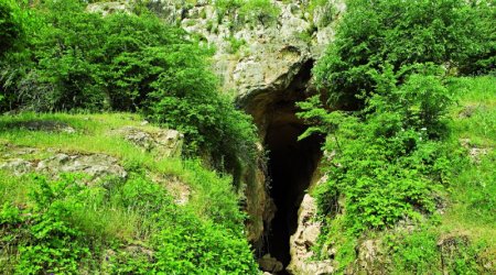 Azıx mağarasının tədqiqatı ilə bağlı İşçi Qrup YARADILDI 