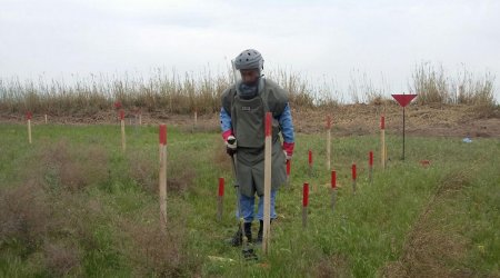 Ən çox Ermənistanda istehsal olunmuş plastik minalara rast gəlinir - RƏSMİ 