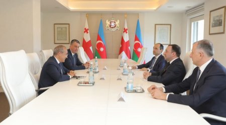 Tiflisdə Azərbaycan-Gürcüstan iqtisadi əlaqələrinin genişləndirilməsi müzakirə edilib - FOTO 