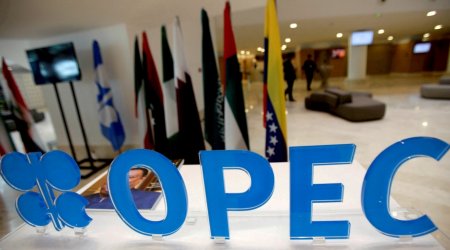 OPEC+ ölkələrinin nazirləri Vyanada bir araya gələcək