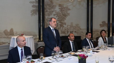 Ceyhun Bayramov Avstriyada dəyirmi masada iştirak etdi – FOTO  