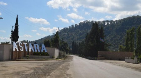 Astarada eşşək kənd sakininin qulağını qopartdı