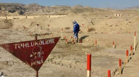 İsveç səfiri Ermənistanın mina terroru barədə məlumatlandırılıb