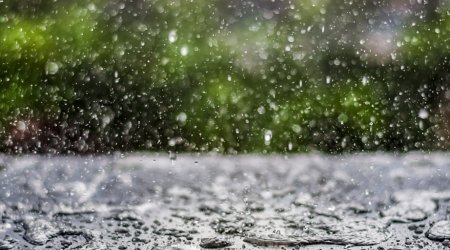 Şimal rayonlarında bu gün yenidən yağış yağıb - VİDEO