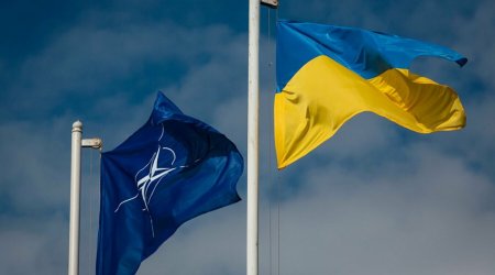 Ukrayna və NATO müdafiə planlaması üzrə danışıqlara BAŞLADI 
