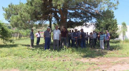 Şəkinin Daşüz kəndində doludan zərər görənlərə yardımlar EDİLƏCƏK - FOTO 