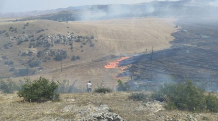 Xızı rayonundakı yanğınla bağlı ÖZƏL AÇIQLAMA - FOTO/VİDEO