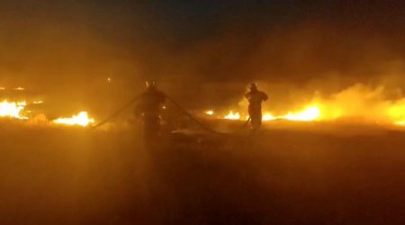 Naxçıvanın bu rayonunda taxıl sahəsi yandı - FOTO/VİDEO