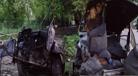 Zaqatalada ağır QƏZA: Avtomobil iki hissəyə parçalandı, ərlə arvad YARALANDI – FOTO