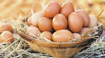Yumurtanın qiyməti UCUZLAŞACAQ? – AÇIQLAMA 