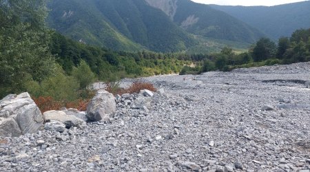 Şəkidə güclü külək əsib, yağış yağıb - FOTO