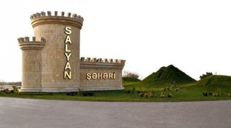Salyanda 7 sürücü saxlanıldı - SƏBƏB