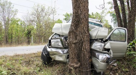 Qaxda avtomobil ağaca çırpıldı: 3 nəfər xəsarət aldı