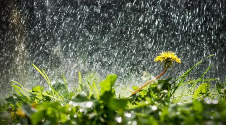 Qeyri-sabit hava nə vaxta qədər davam edəcək? 