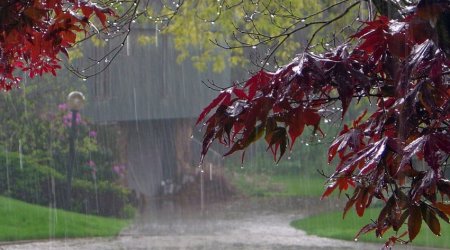 FAKTİKİ HAVA: Bəzi yerlərdə yağış, Şahdağda qar yağıb
