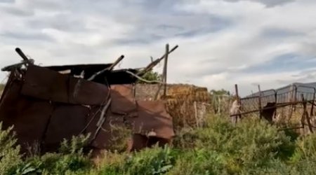 Şuşa rayonunun Quşçular kəndinin görüntüləri yayıldı - VİDEO
