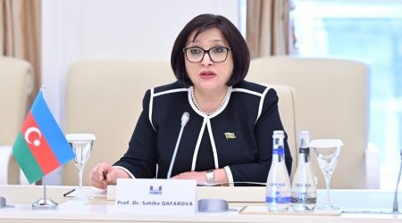 Sahibə Qafarova: “Prezident İlham Əliyev sözü imzası qədər dəyərli olan siyasətçidir”