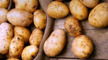 Kartof ixracında AZALMA – Qiymət UCUZLAŞACAQ?