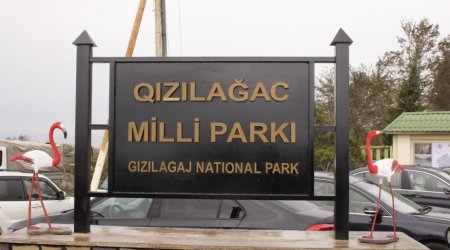 Qızılağac Milli Parkında “Flaminqo festivalı” başladı - YENİLƏNİB/FOTO