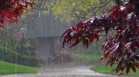 Ölkədə temperatur aşağı düşüb, bölgələrdə yağış yağır - FAKTİKİ HAVA 