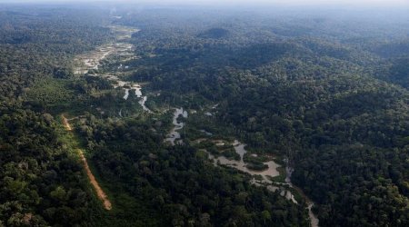 Amazon meşələrində 2,5 min il yaşı olan yaşayış məskənləri AŞKAR EDİLDİ – FOTO  