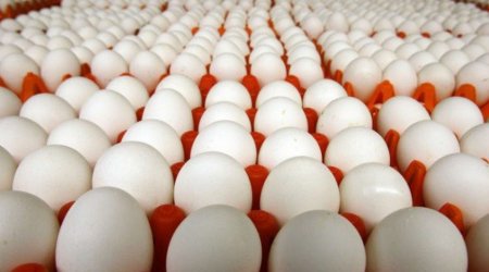 Azərbaycan yanvarda Rusiyaya 4 milyondan çox yumurta ixrac edib