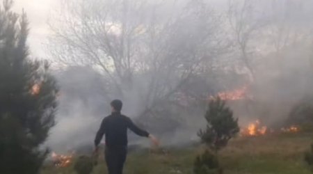 Külək Yevlaxda bir neçə yerdə yanğına səbəb olub - FOTO