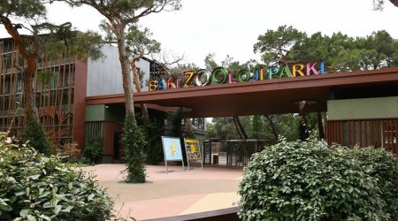 Bakı “Zoopark”ında heyvanlar necə QİDALANIR? – Rəsmi AÇIQLAMA  