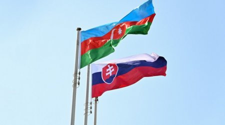 Azərbaycan-Slovakiya sənədləri İMZALANDI - VİDEO