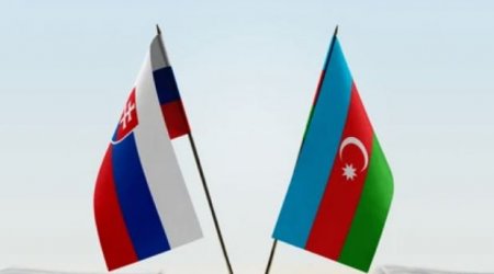 Azərbaycanla Slovakiya arasında sənədlər imzalandı
