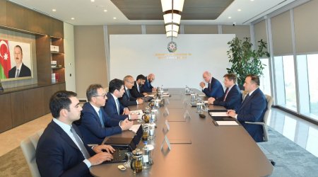 Mikayıl Cabbarov BP ilə Azərbaycanda dayanıqlı enerji mənbələrinə keçidi müzakirə edib - FOTO
