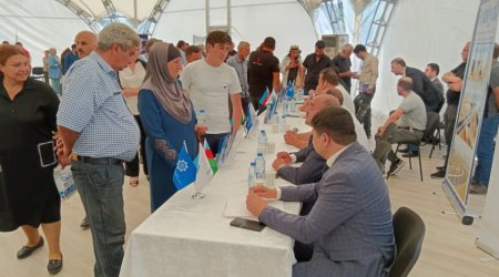 Laçında iş axtaranların NƏZƏRİNƏ: 335 vakansiya var - FOTO