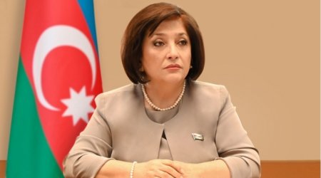 “TÜRKPA parlamentlərimizi daha da inkişaf etdirməyə imkan verir”- Sahibə Qafarova