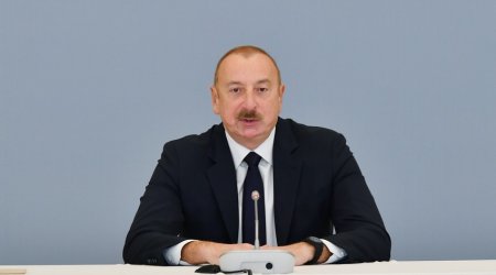 “COP29-da iqlim maliyyəsi üzrə yeni danışıqlar aparılacaq” - Azərbaycan Prezidenti