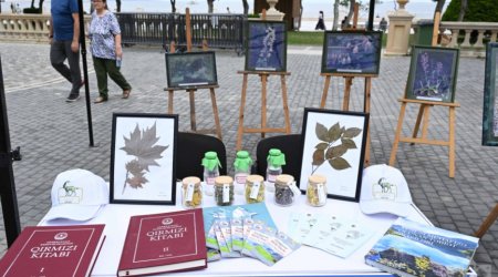 Bulvarda “Azərbaycanın milli parklarının tanıtımı” adlı tədbir keçirilir - FOTO