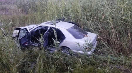 Kürdəmirdə avtomobil qoyun sürüsünə girdi: 15 heyvan tələf oldu, çoban ağır yaralandı - FOTO