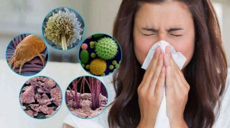 İsti hava ilə bağlı XƏBƏRDARLIQ – Bu allergenlərin yayılma riski YÜKSƏKDİR