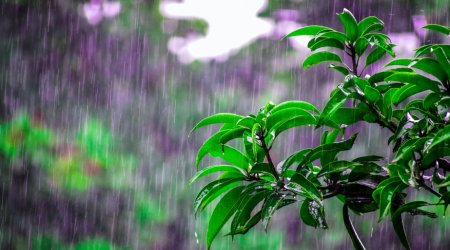 Şimşək çaxıb, arabir yağış yağıb – FAKTİKİ HAVA
