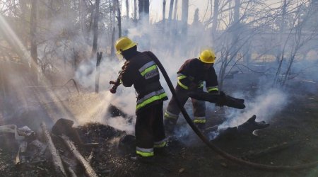 Naxçıvanda baş verən yanğınlar söndürüldü - FOTO/VİDEO