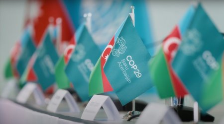 COP29-la bağlı beynəlxalq sənədli film müsabiqəsi elan EDİLDİ