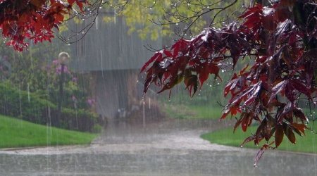 Bakıda yağışlı hava şəraiti nə vaxtadək davam edəcək? 