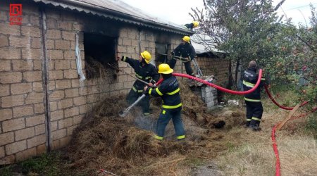 İsmayıllıda güclü YANĞIN: Ev quşları tələf oldu – FOTO