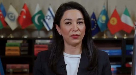 Ombudsman: “ABŞ Konqresinin Azərbaycana qarşı fikirləri təəssüf doğurur”