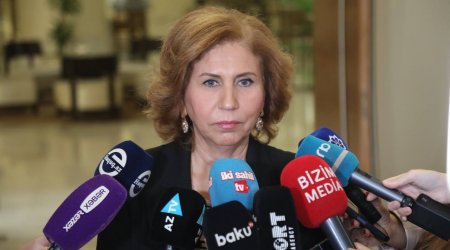 Məişət zorakılığı ilə bağlı yeni fəaliyyət planı HAZIRLANACAQ – Bahar Muradova