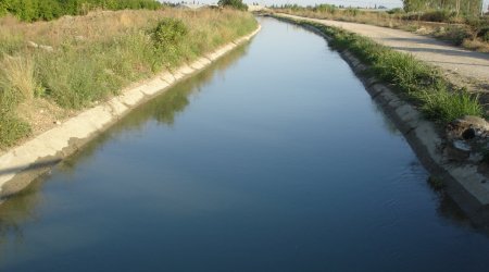 Mingəçevirdə kanal yaxınlığında meyit aşkarlandı