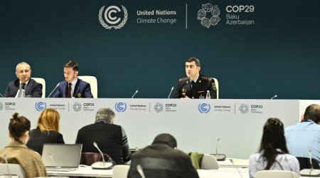 NİİM rəisi: COP29 zamanı bölgələrdən gələn avtomobillərə məhdudiyyət tətbiq olunmayacaq